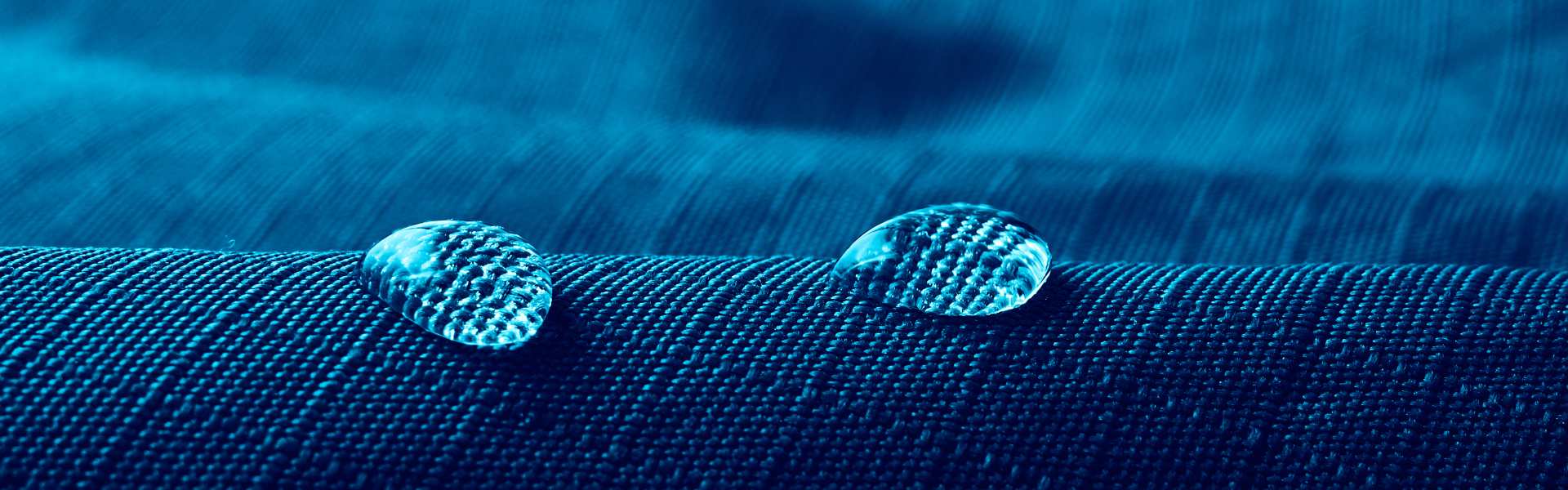 Paraffin Tissue Processing: Steps, Benefits, and Best Practices